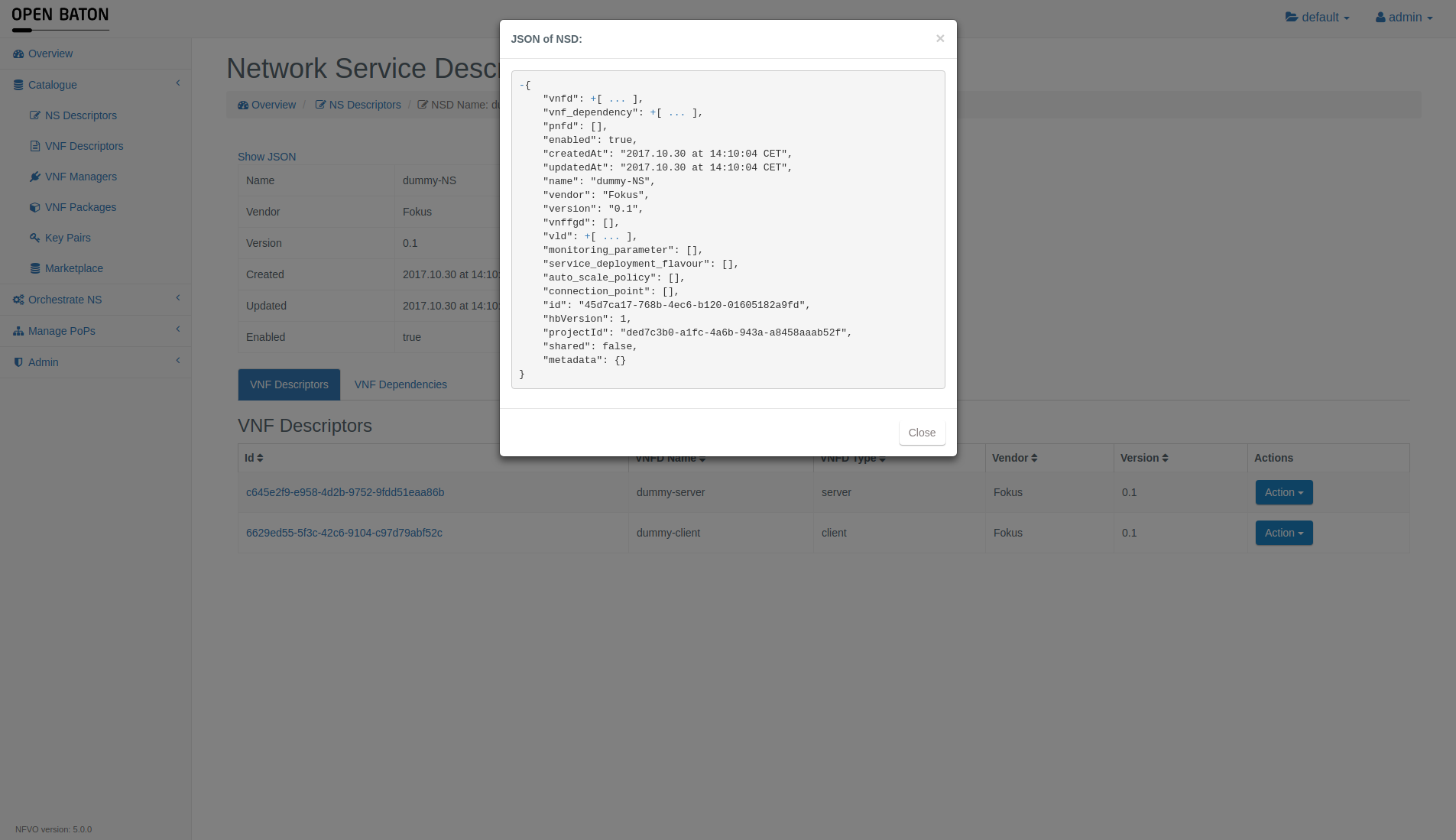 JSON of Network Service Descriptor